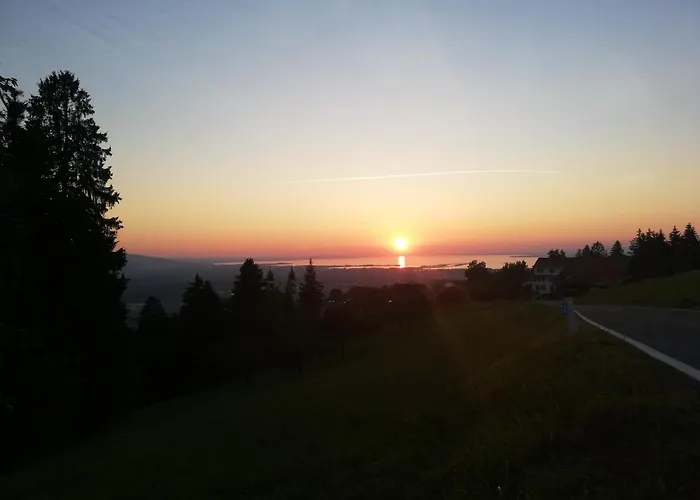 1 Zi Appartement Zauberwald