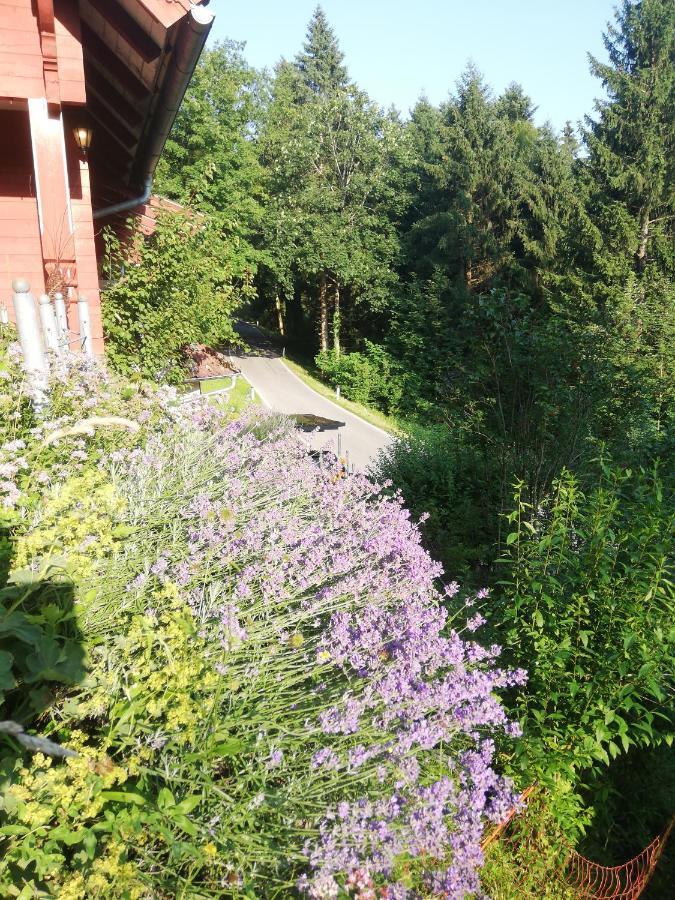Apartamento 1 Zi Zauberwald