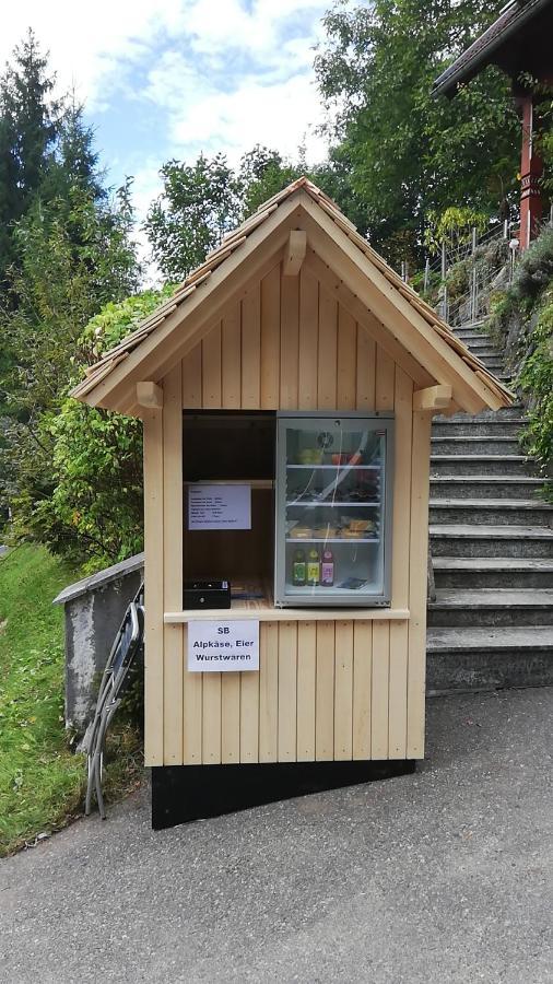 1 Zi Zauberwald Apartamento *
