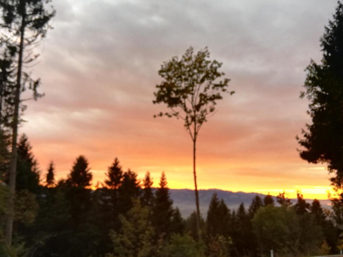 Apartamento 1 Zi Zauberwald *