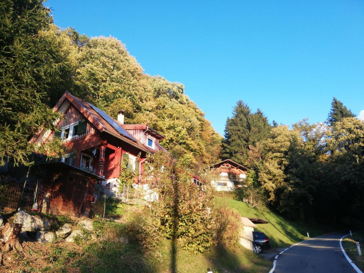 1 Zi Zauberwald
