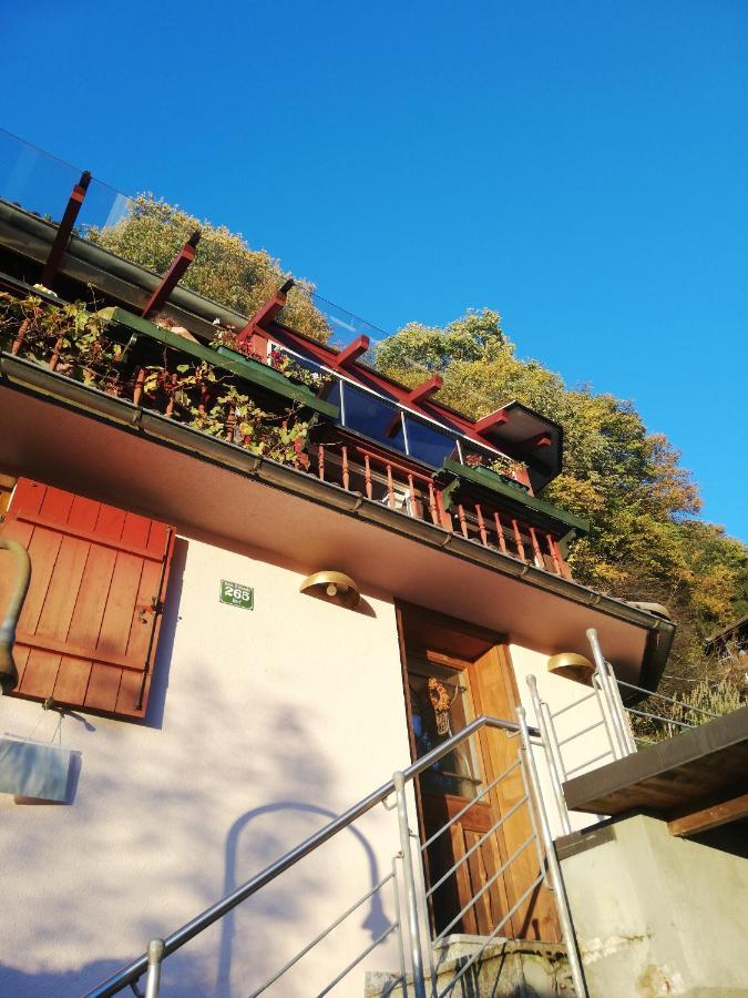 Apartment 1 Zi Zauberwald