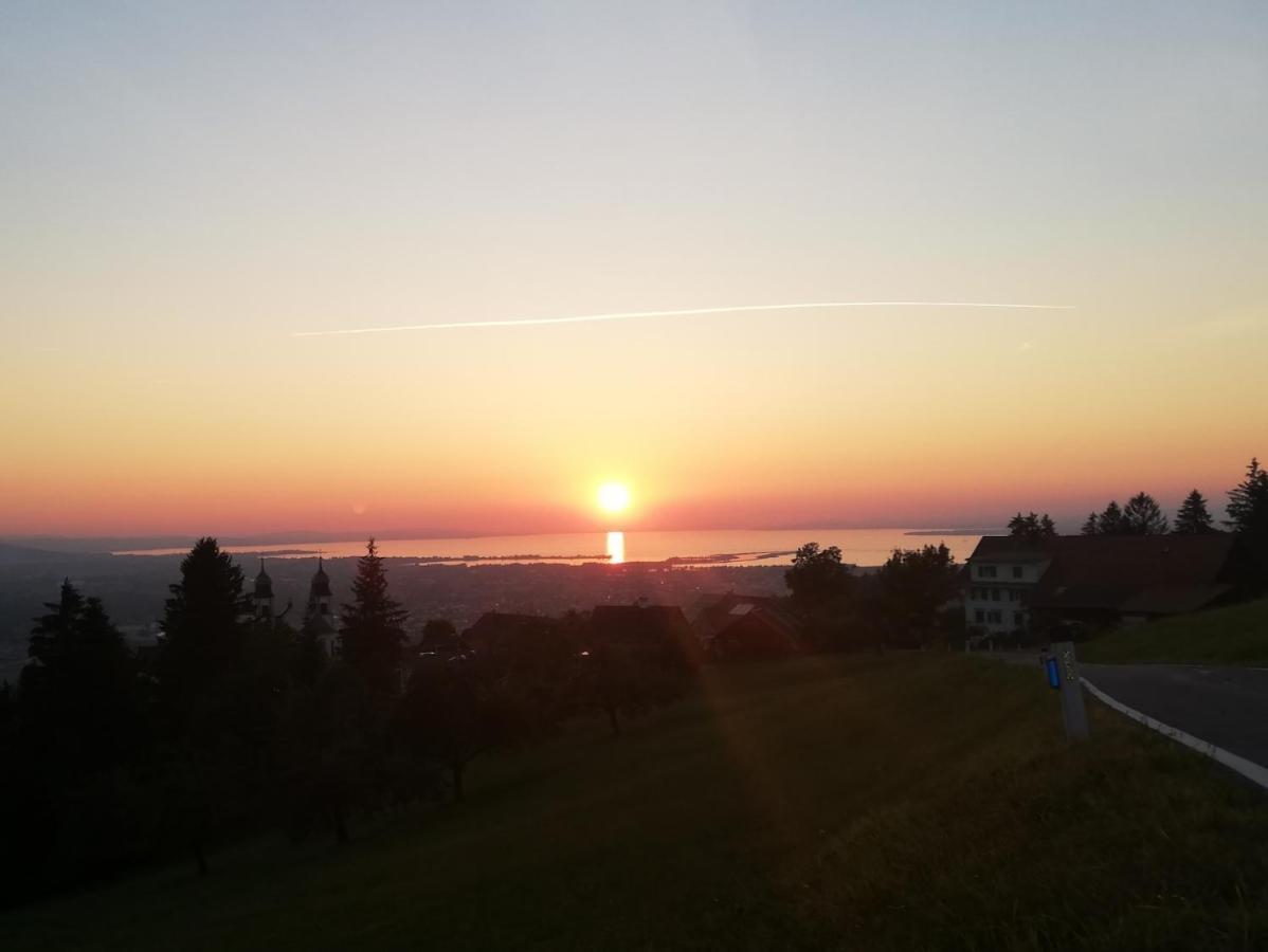 1 Zi Zauberwald *