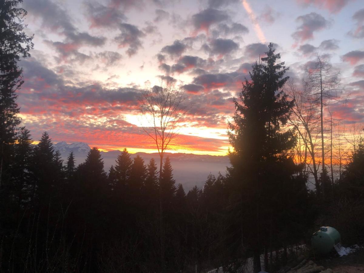 1 Zi Zauberwald Apartamento